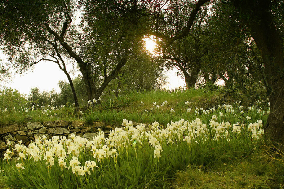 E' primavera...