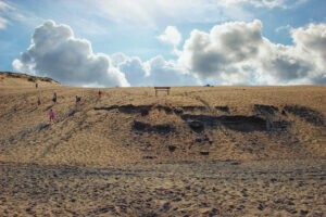 Dune du Pyla /01