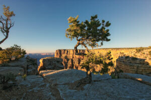 Light and shadow (at Grand Canyon)