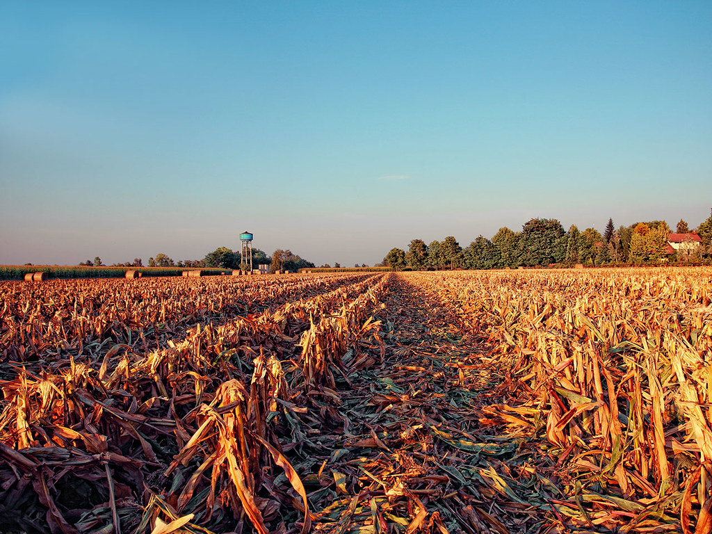 When september ends - Fotografia di Samuele Silva