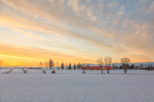 Morning snow