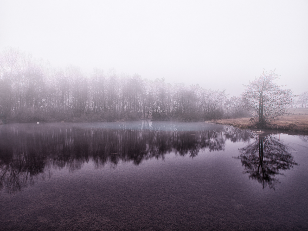 Morning Fog On Lake Beinette