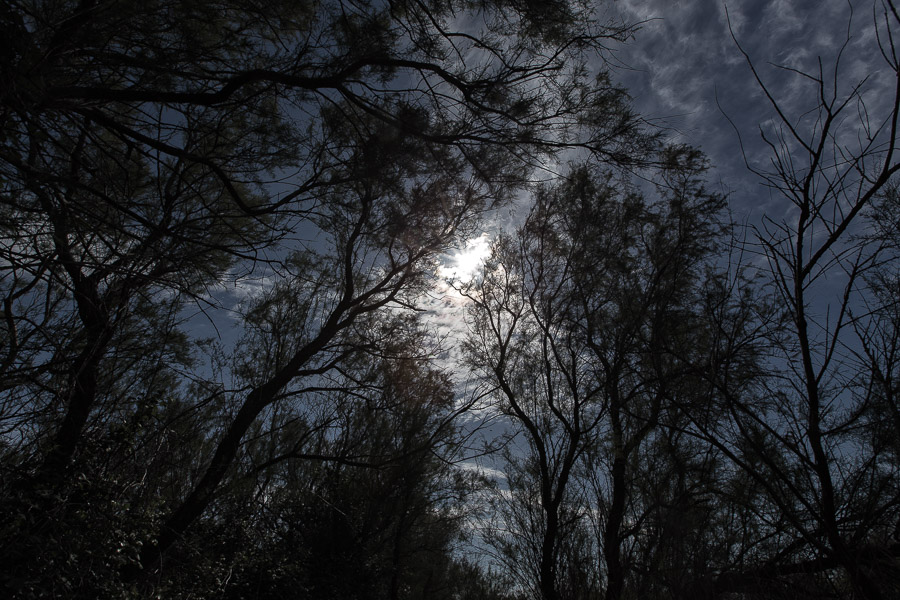Taluma in the dark