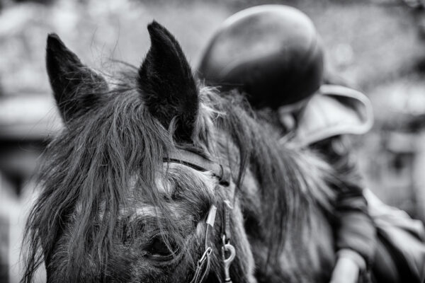 A cavallo per la prima volta