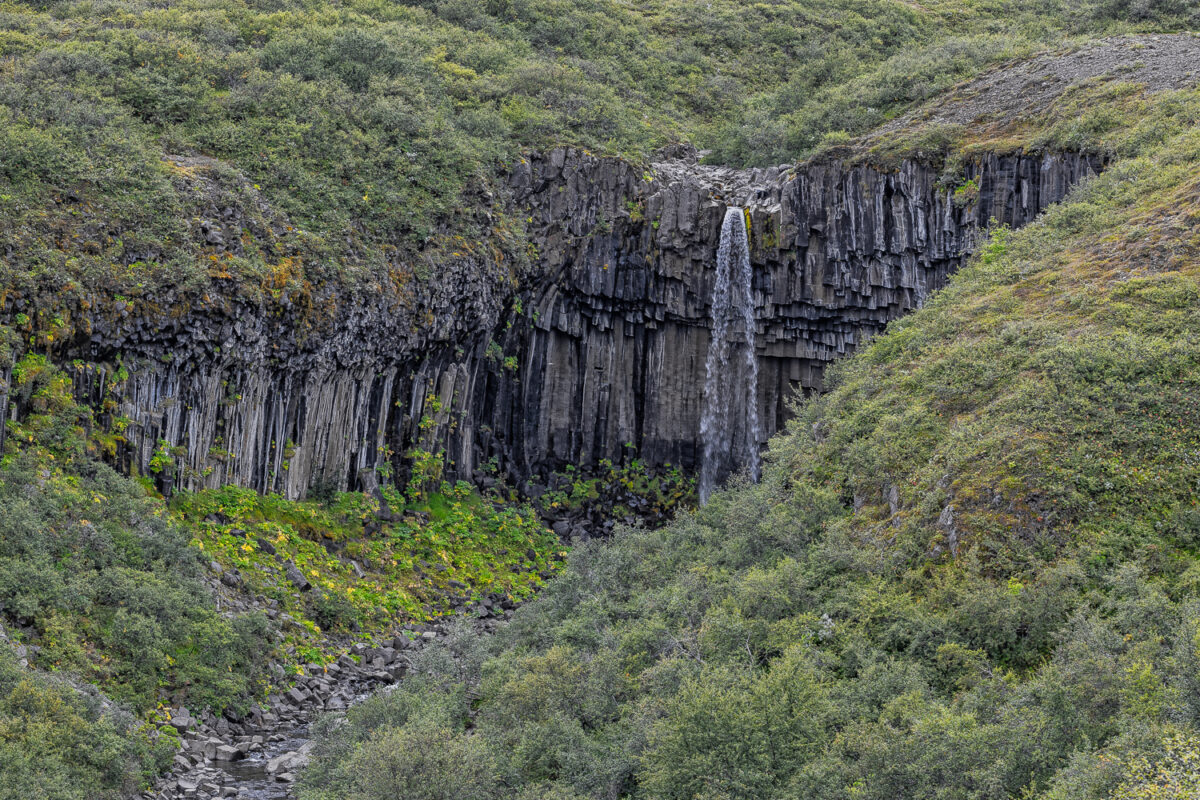 Svartifoss /06