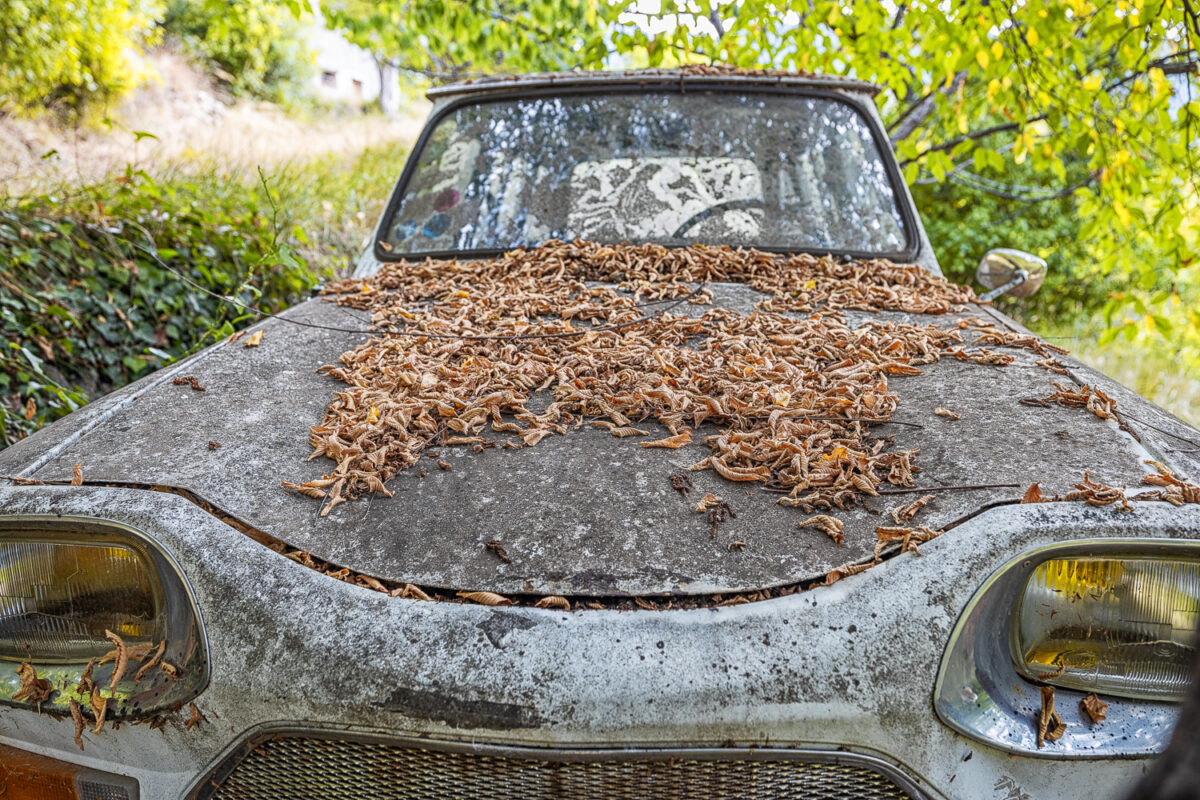 Citroën Ami 8 /02