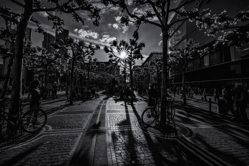 Shadows of Frankfurt